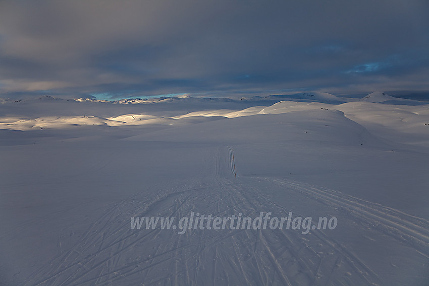 Herlig skiterreng når man kommer seg opp i fjellet på Filefjell.