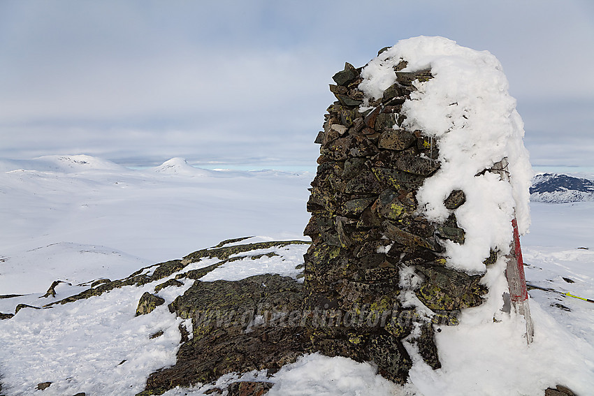 På toppen av Vardhovdtinden (1456 moh).