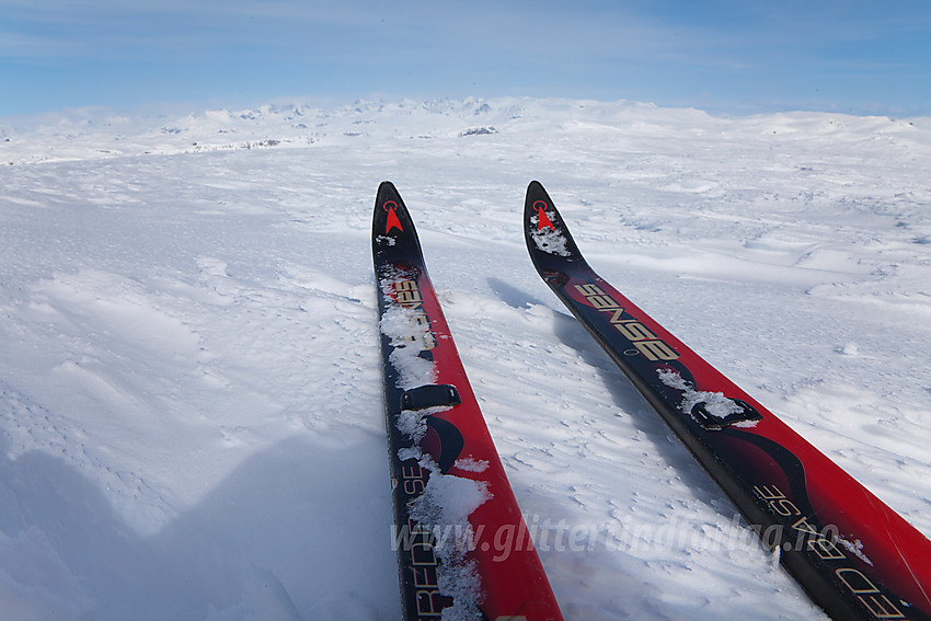 Ski på toppen av Vennisfjellet. Jotunheimen i bakgrunnen.