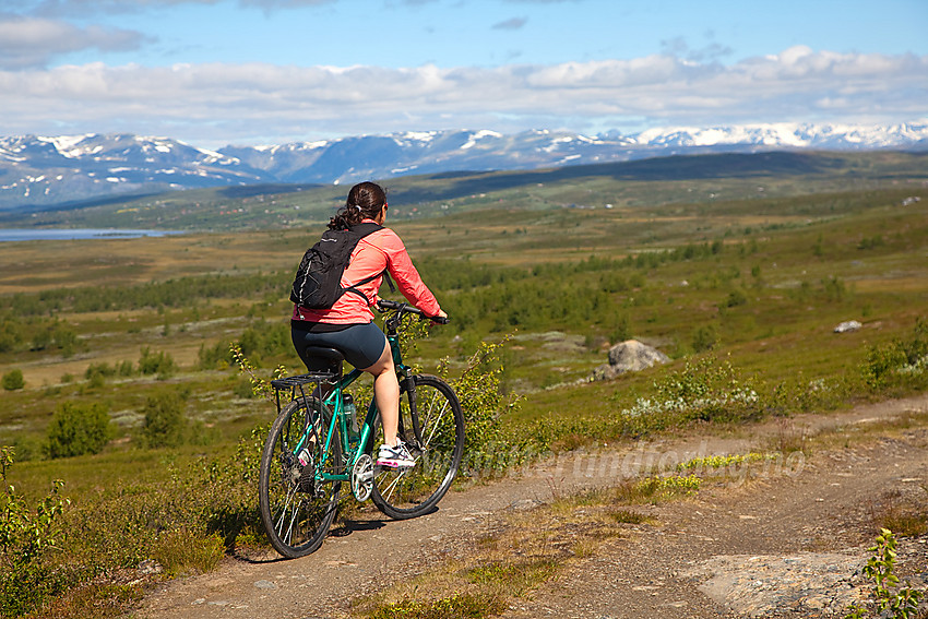 På veien vest for Kringlehovda i Vestre Slidre. Jotunheimen kan anes bak til høyre.