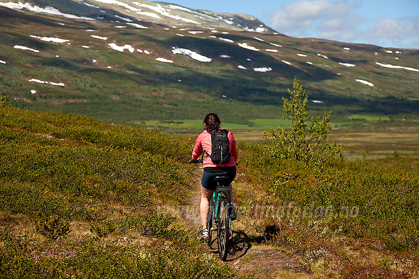 På sykkelsti fra Grønsenn mot Syndin. I bakgrunnen ses Gilafjellet.