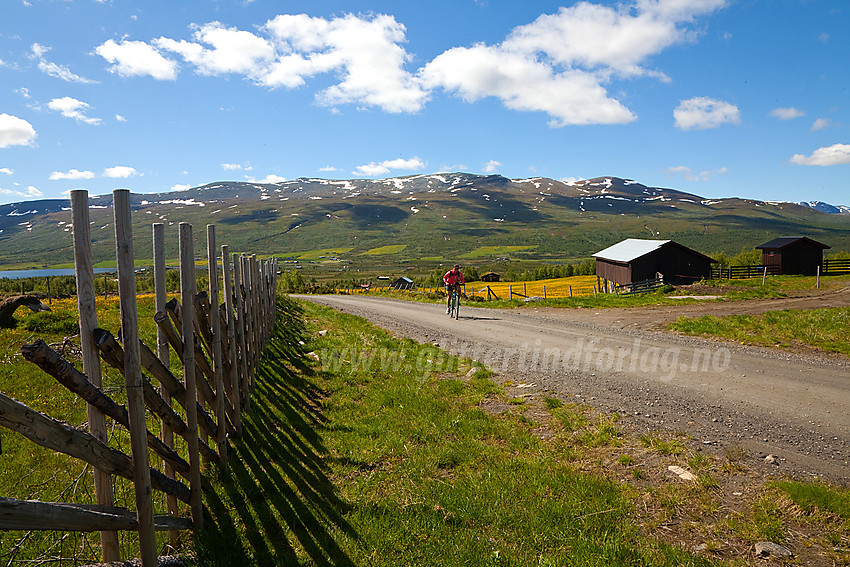 På vei opp mot Syndinstøga. Gilafjellet i bakgrunnen.