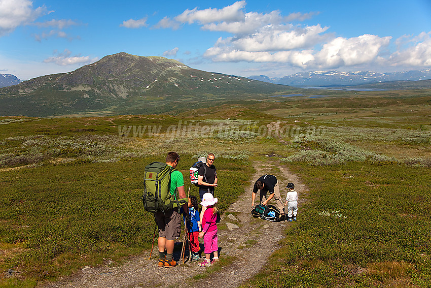 Flott sommerdag på vei mot Grønsennknipa. Nøsakampen og Gilafjellet i bakgrunnen.