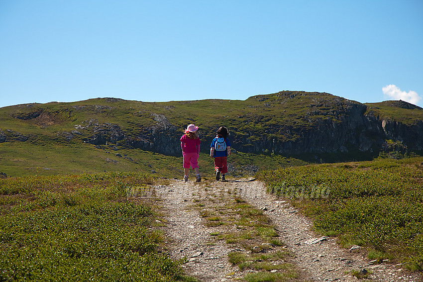 Små fjellvandrere på vei mot Grønsennknipa.