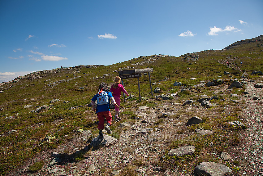 Små fjellvandrere i fint driv på vei mot Grønsennknipa.