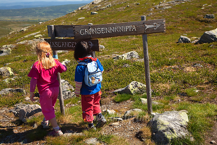 Stidele nord for Grønsennknipa.