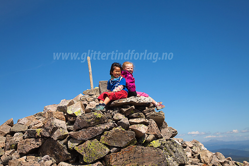 Glade barn på toppen av Grønsennknipa (1368 moh).