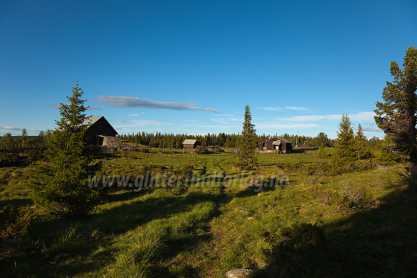 Ved Timannstølen i Nord-Aurdal.