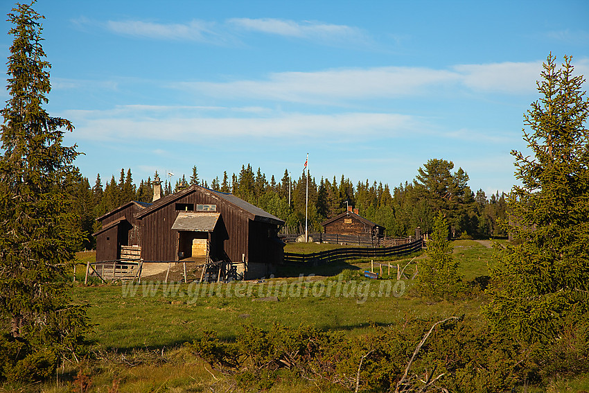 Ved Timannstølen i Nord-Aurdal.