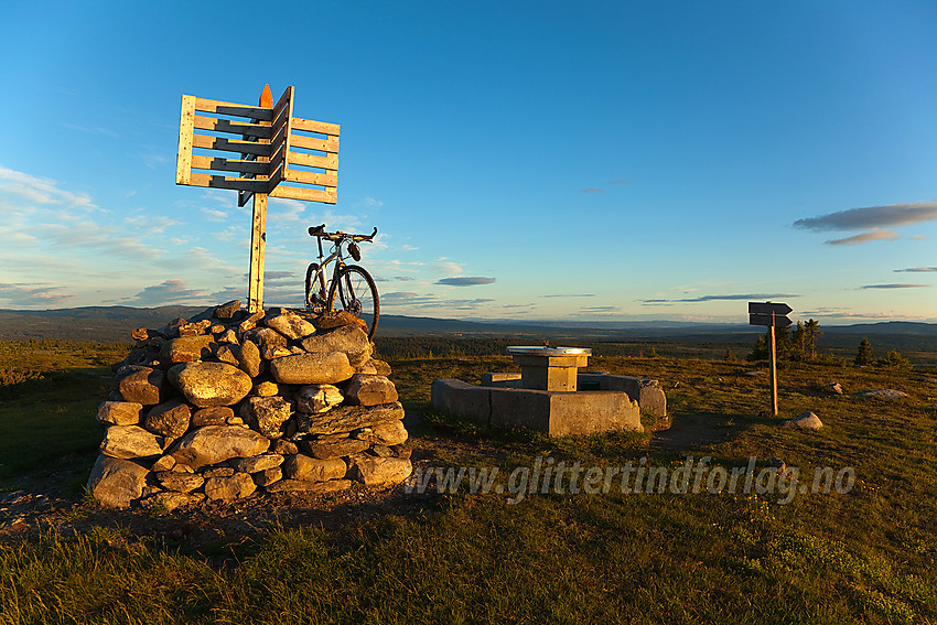 På toppen av Gribbehaugen (1057 moh) i Nord-Aurdal en sommerkveld.