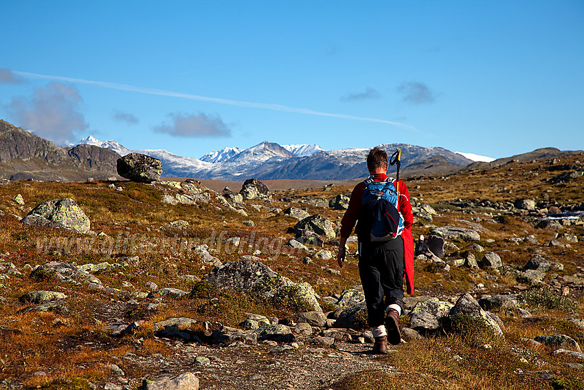 På toppen av Høystakbakkene åpner utsynet seg nordover innover i hjertet av Jotunheimen.