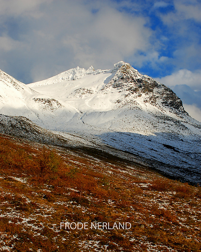 Dronninga sett fra Sandviksdalen