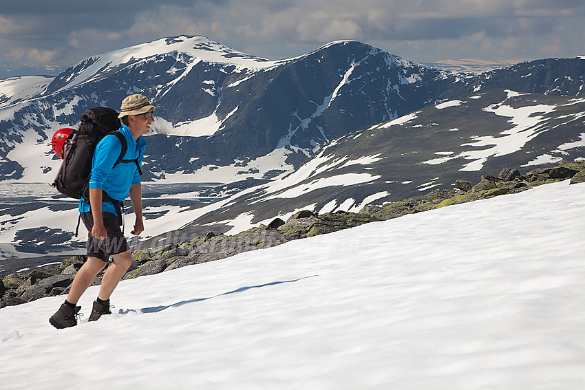 På vei mot Snøhettas Vesttopp med Skredahøin i bakgrunnen.