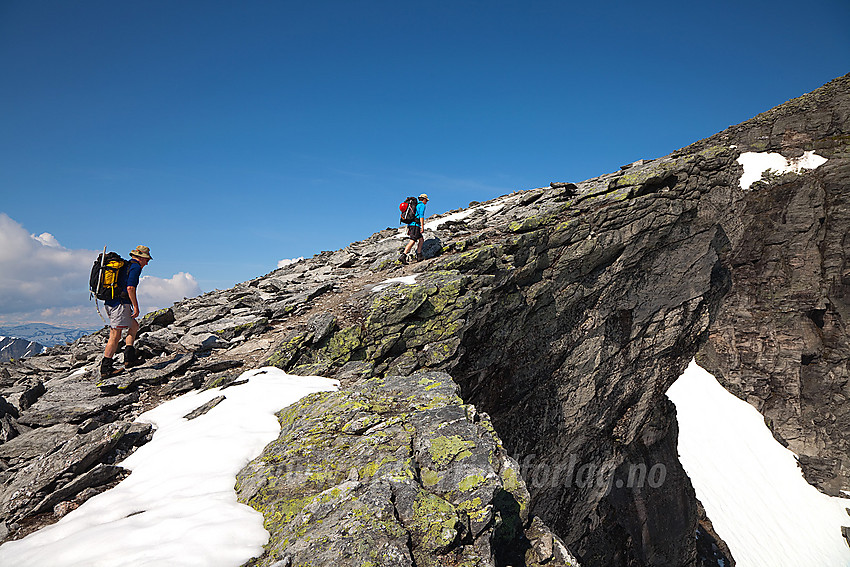 Fjellvandrere på vei mot Snøhettas Vesttopp.