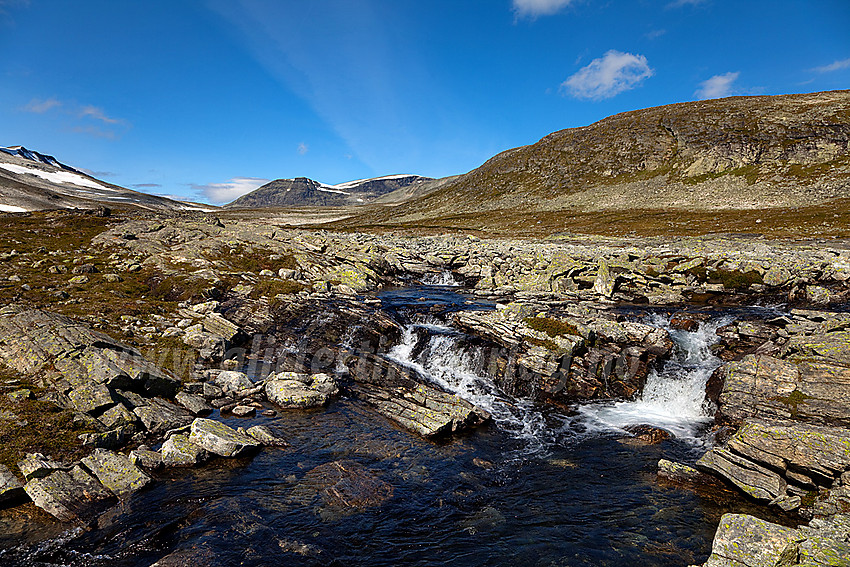 Ved utløpet av Skarvedalen med Skarvedalsåe. Gråhøe i bakgrunnen.