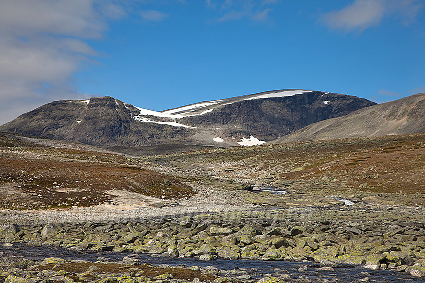 Skarvedalsåe og Skarvedalen med Gråhøe (2014 moh) bak til høyre.