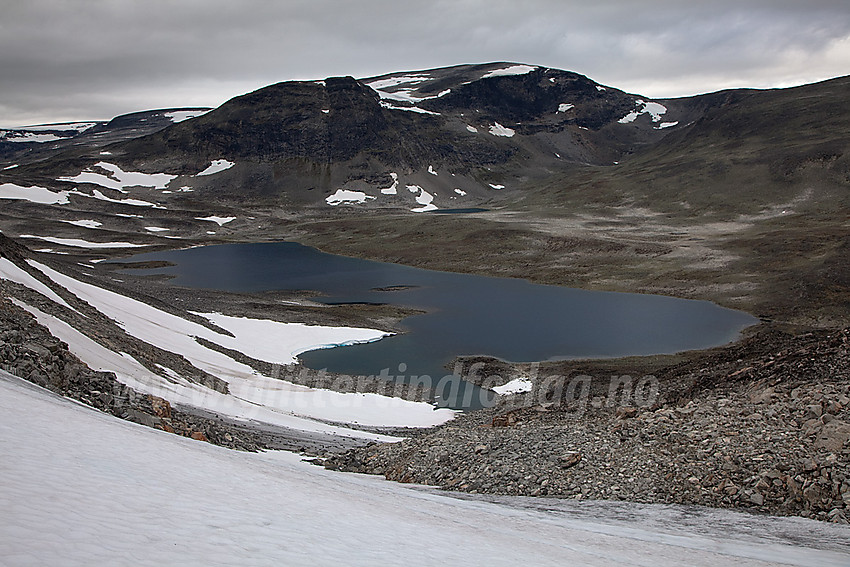 På vei opp mot Skarvedalsegge med utsikt til Gråhøe (2014 moh) på andre siden av Skarvedalen.