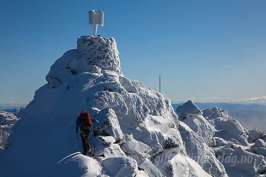 Tinderanglere på vei de siste meterne mot den flotte varden på Store Dyrhaugstinden (2147 moh).