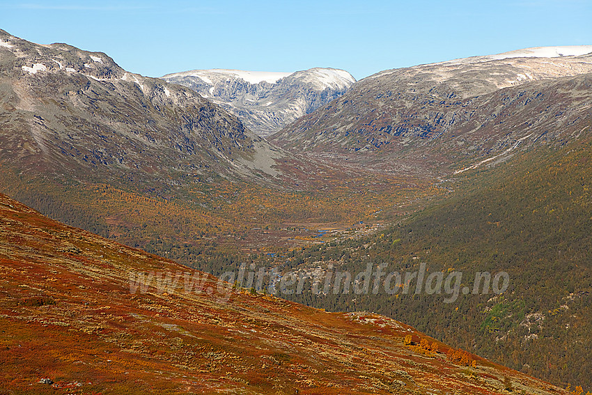 På vei oppover mot Tverrådalen i retning Tverrådalskyrkja med utsikt oppover Mysubuttdalen i retning Kupen (1728 moh).