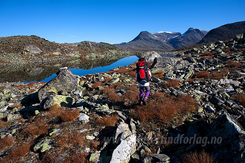 Liten fjellvandrer på Øvre Dyrhaug i Hurrungane med Steindalsnosi og Fannaråken i bakgrunnen.