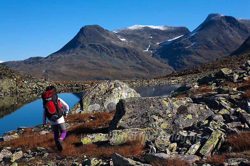 Liten fjellvandrer på Øvre Dyrhaug i Hurrungane med Steindalsnosi og Fannaråken i bakgrunnen.