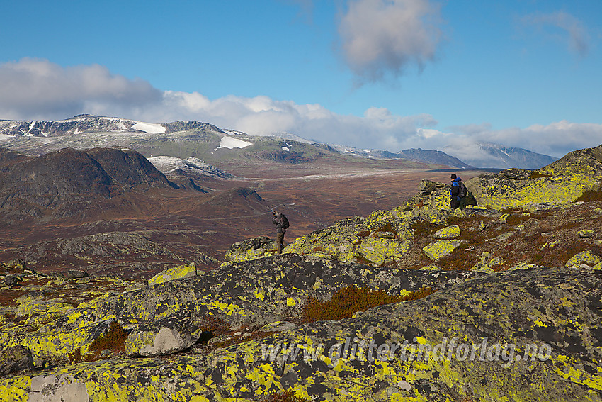 Ved toppen på Gravolskampen med Synshorn, Rasletinden og Valdresflye i bakgrunnen.