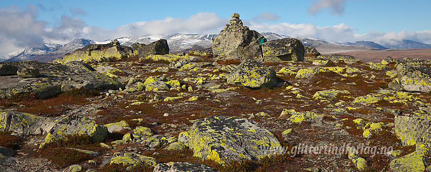 På toppen av Gravolskampen (1281 moh) med Kalvehøgde i bakgrunnen.