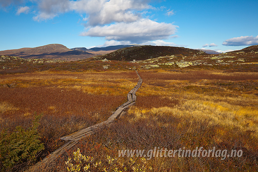 Plankesti på overgangen fra Vinstre mot Oledalen.