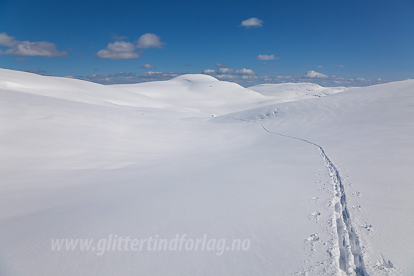 Silkeføre med nysnø innover Sørbølfjellet med Saunatten (1256 moh) sentralt i bakgrunnen og Ørneflag bak til høyre.