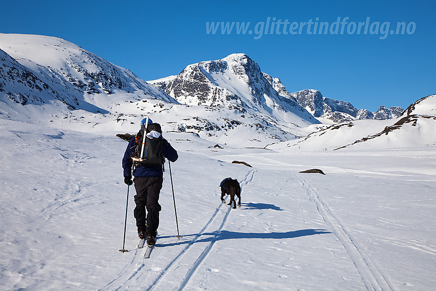 Skiløper på vei inn Leirungsdalen med Munken (2105 moh), turens mål, midt i mot.