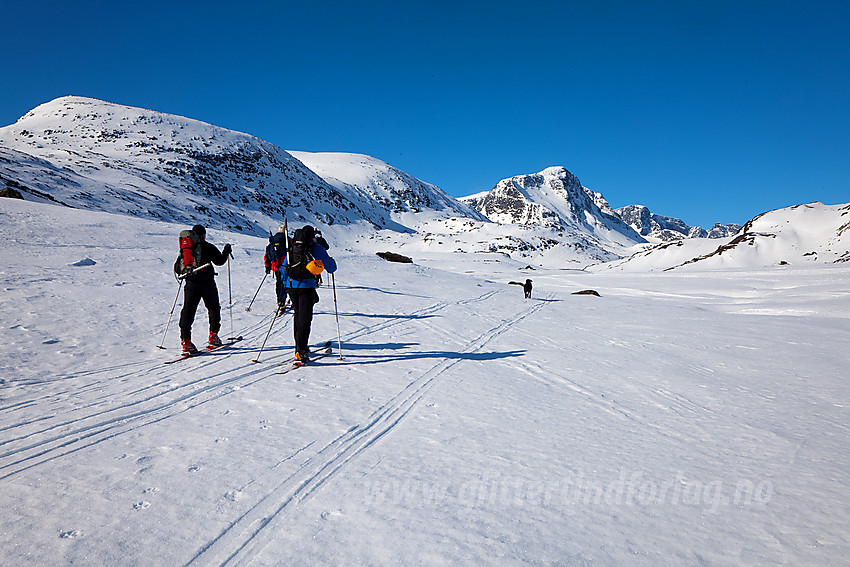 Skiløpere på vei innover Leirungsdalen med Munken (2105 moh) sentralt i bakgrunnen.