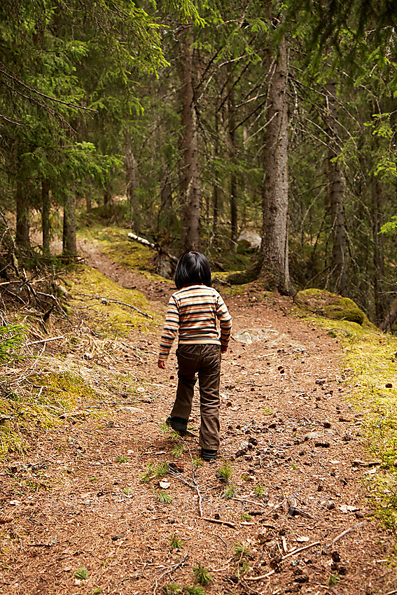 På vei til Bagnsbergene gård i Sør-Aurdal.