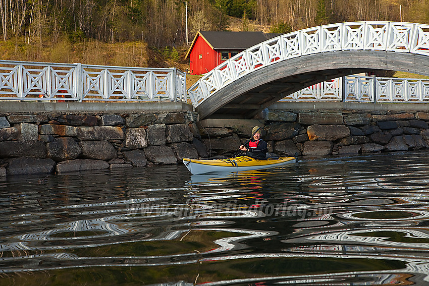 Padling på Strandefjorden ved Lo en vårmorgen.