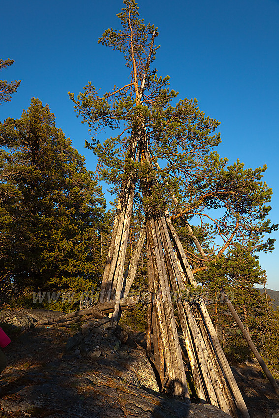 Vårkveld på Vardeberget i Aurdal.