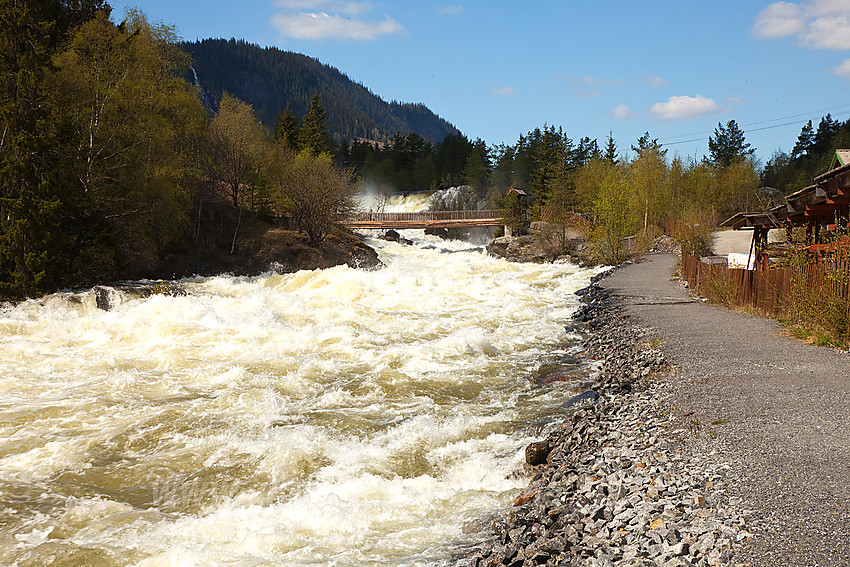 I Kvitvellafossen er Neselve virkelig imponerende. Lett tilgjengelig er den også like ved Fagernes sentrum. Bildet er tatt en vårdag med flomføring i elva.