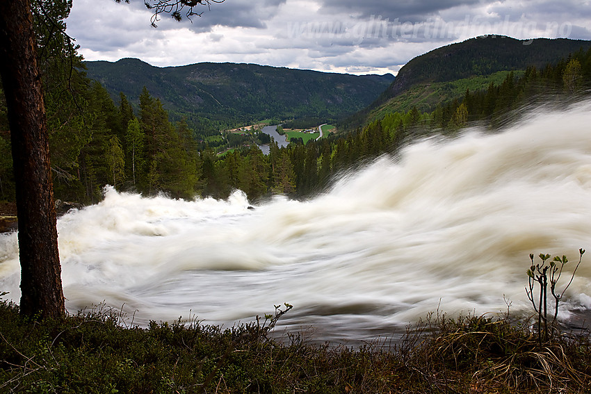 På vei oppover mot Kverviljuvet langs Hølera. Her med en flomstor Hølera i forgrunnen og Begnadalen i bakgrunnen.