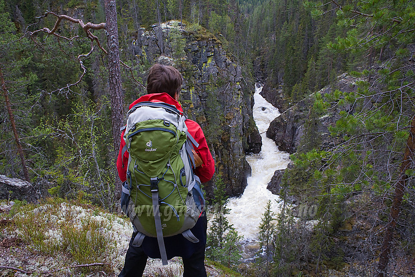 Ved Kverviljuvet (Hølerajuvet) der Hølera har skåret seg dypt ned i et gjel.