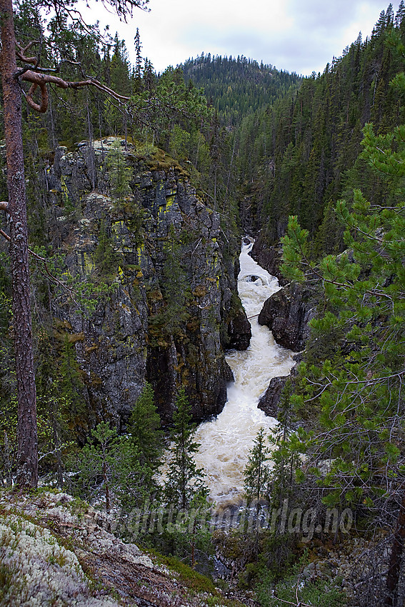 Ved Kverviljuvet (Hølerajuvet) der Hølera har skåret seg dypt ned i et gjel.