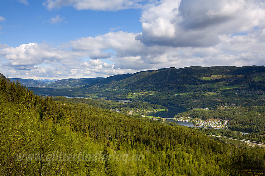 Utsikt fra nedre del av Bjødnastigen mot Aurdal Fjordcamping og Aurdalsbygda.