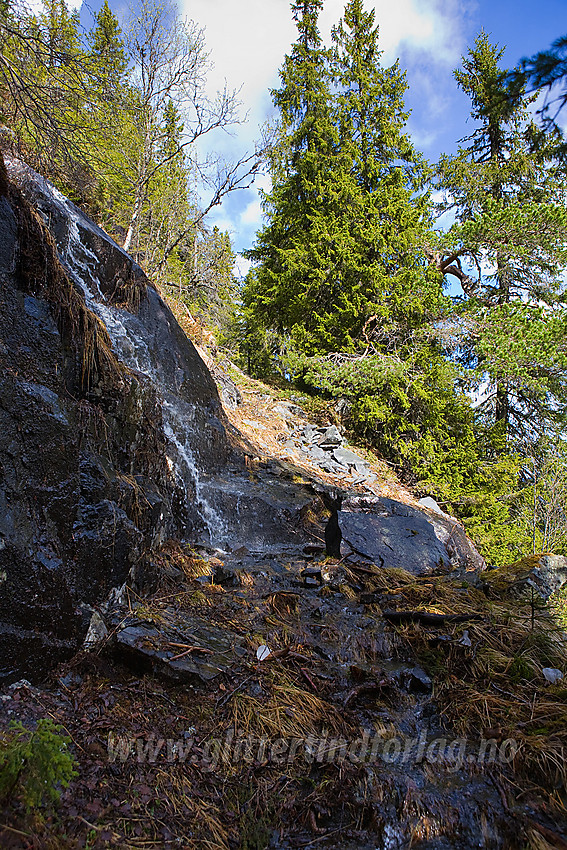 Bjødnastigen fører bratt fra dalen og opp på åpsen i Aurdal.