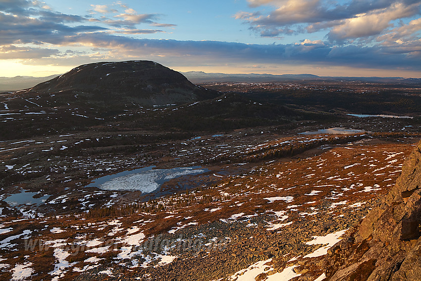 Fra Skarvemellen mot Rundemellen (1345 moh) en vårkveld.