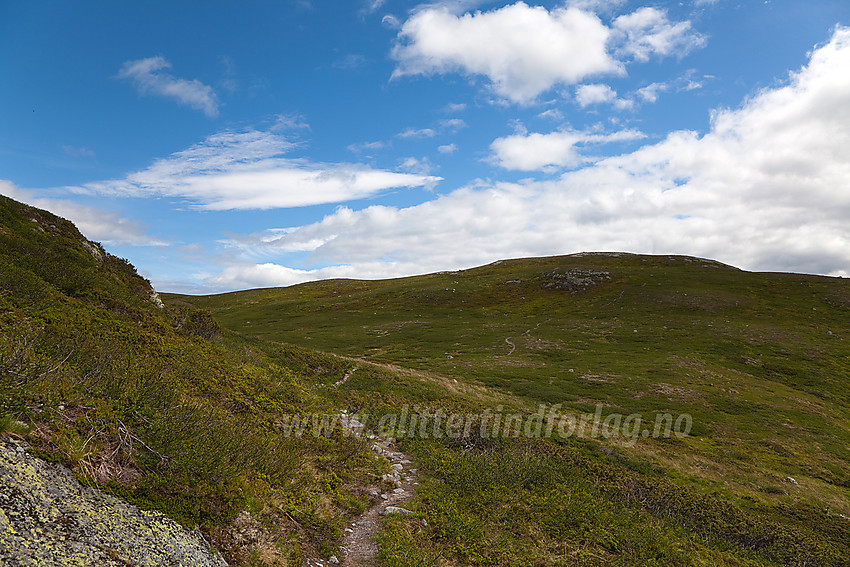 På vei mot Rauddalsfjellet fra sørvest.