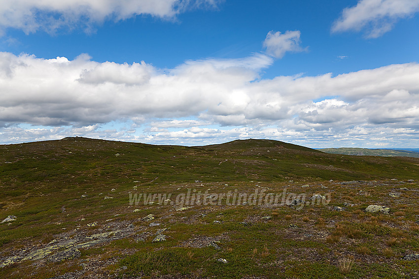 Rauddalsfjellet (1205 moh) i Gol, like ovenfor grensa fra Sør-Aurdal.