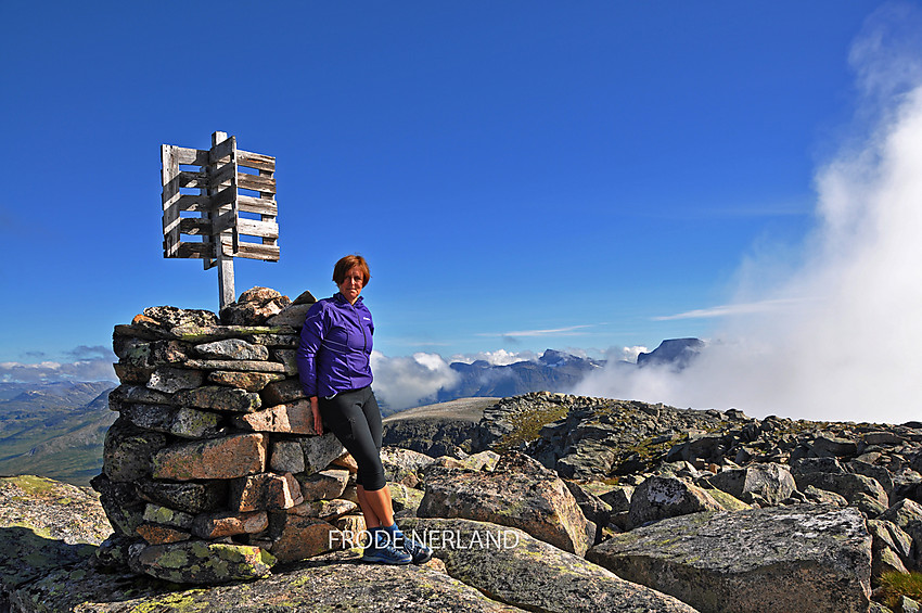 Fra varden på Viromkjerringa mot Innerdalen