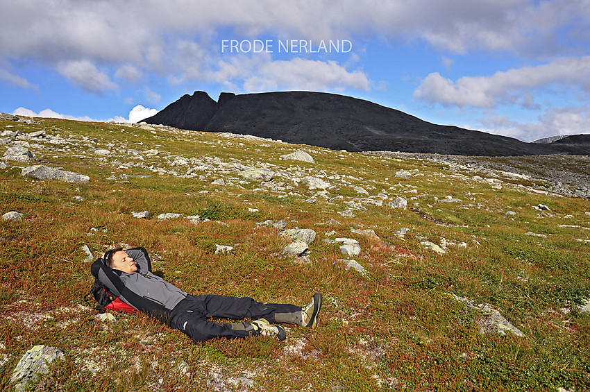 Seriøs pause. Hjellbønebba i bakgrunnen.