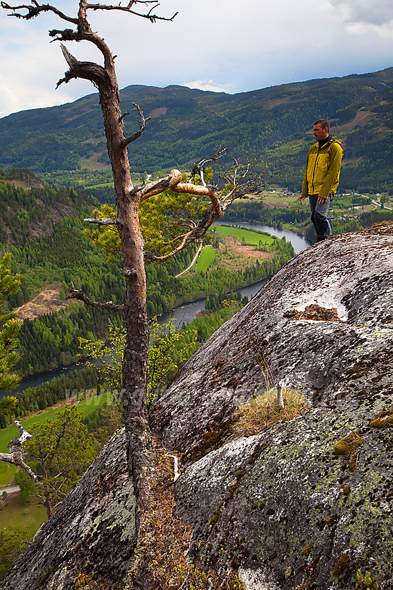 På Kristiansmokollen i Sør-Aurdal med en flik av Begnadalen og Begna i bakgrunnen.