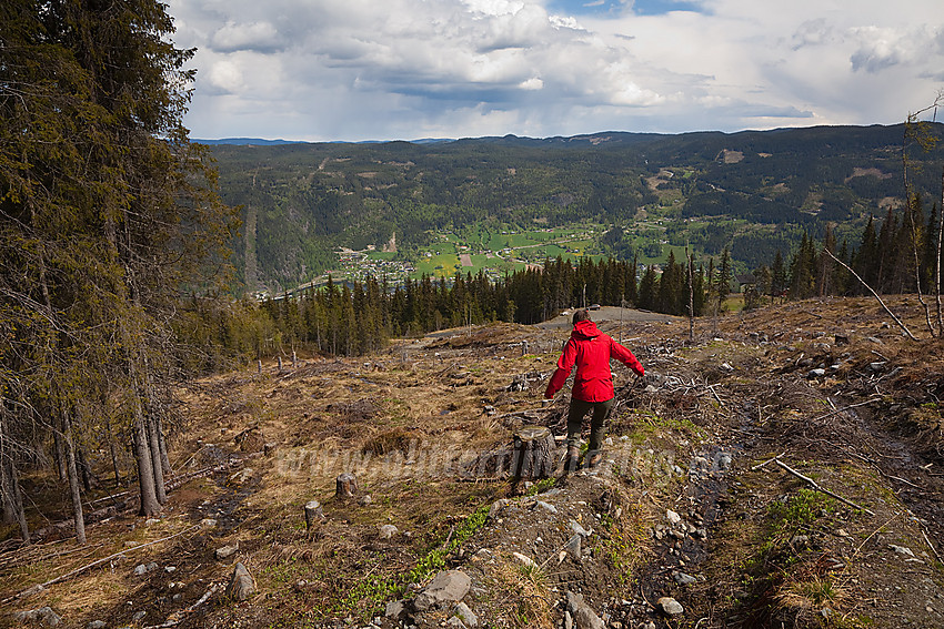 På vei ned fra Langeberget ved Bagn i Sør-Aurdal. Parkeringen med bilen ses i bakgrunnen like over hodet på personen.