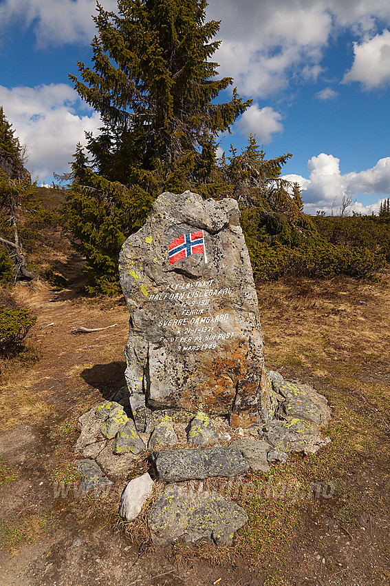 Minnesmerke etter en flyulykke på Liastølfjellet i 1949. Ligger like på stien fra hyttefeltet over Stavadalen i retning Makalausfjellet.