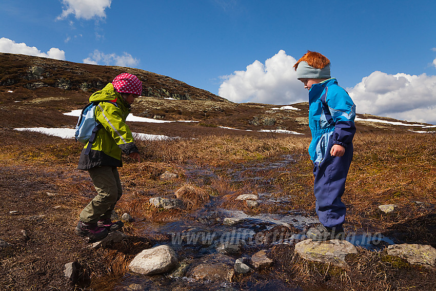 "Sett foten der, ...sånn ja! Da går det bra!" Kryssing av liten bekk fra Stormyre på tur mot Makalausfjellet fra øst-nordøst en fin forsommerdag.