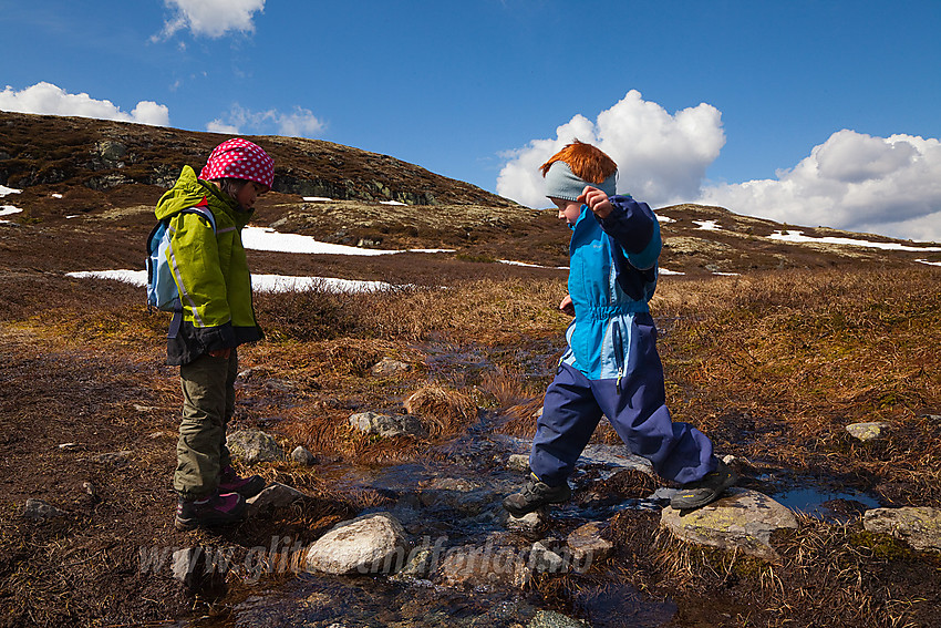 "Hmm... Ikke verst!" Kryssing av liten bekk fra Stormyre på tur mot Makalausfjellet fra øst-nordøst en fin forsommerdag.